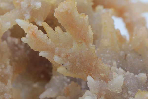 Chalcedony - Image 12