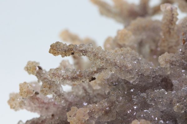 Quartz - Image 12