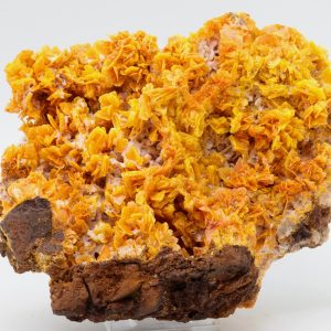 Wulfenite