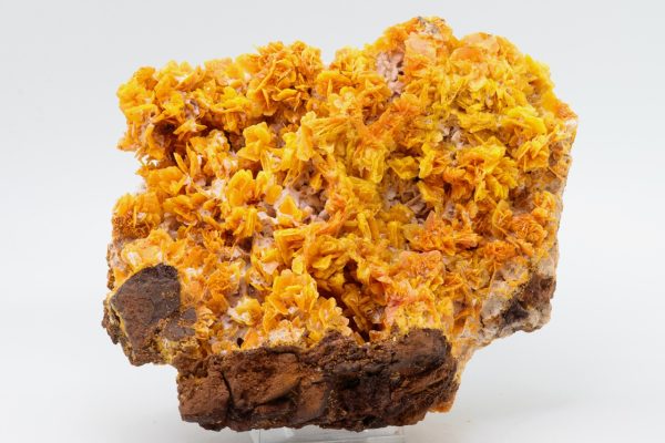 Wulfenite