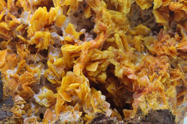Wulfenite - Image 8