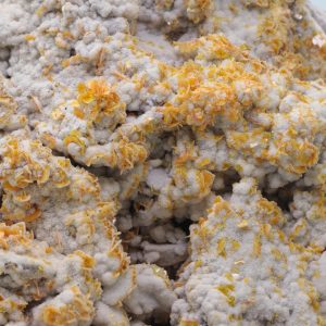 Wulfenite