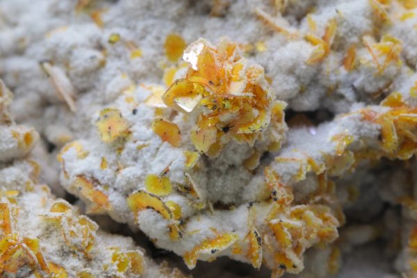 Wulfenite - Image 7