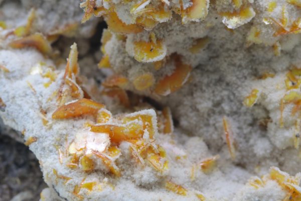 Wulfenite - Image 9