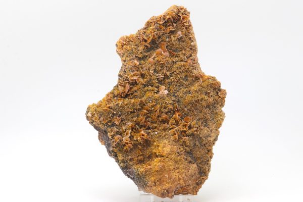Wulfenite, plattnerite - Image 3