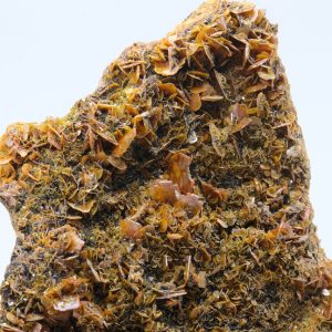 Wulfenite, plattnerite