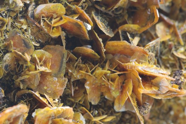 Wulfenite, plattnerite - Image 10