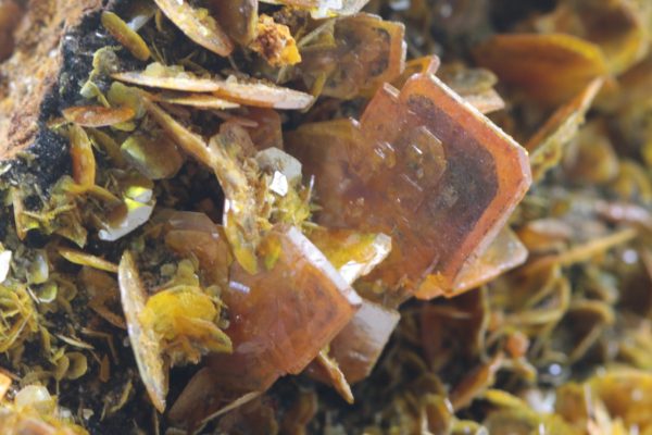 Wulfenite, plattnerite - Image 11