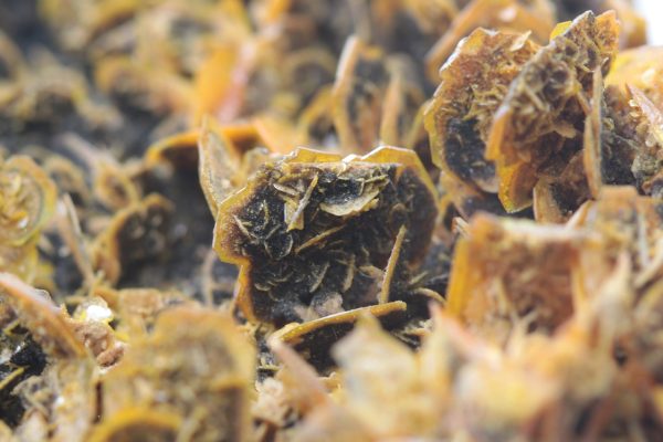 Wulfenite, plattnerite - Image 13