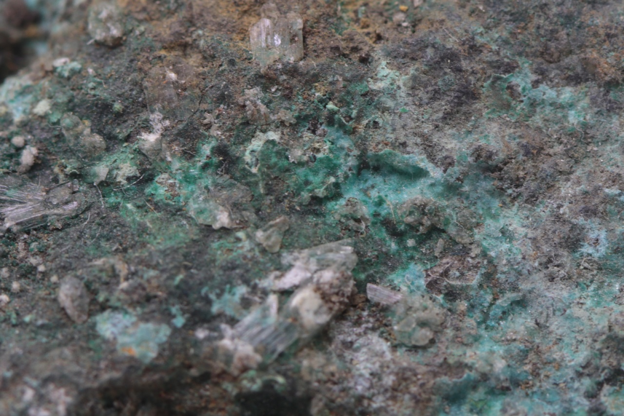 Serpierite, Brochantite - Image 9