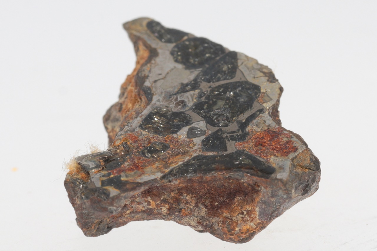Pallasite - Image 2