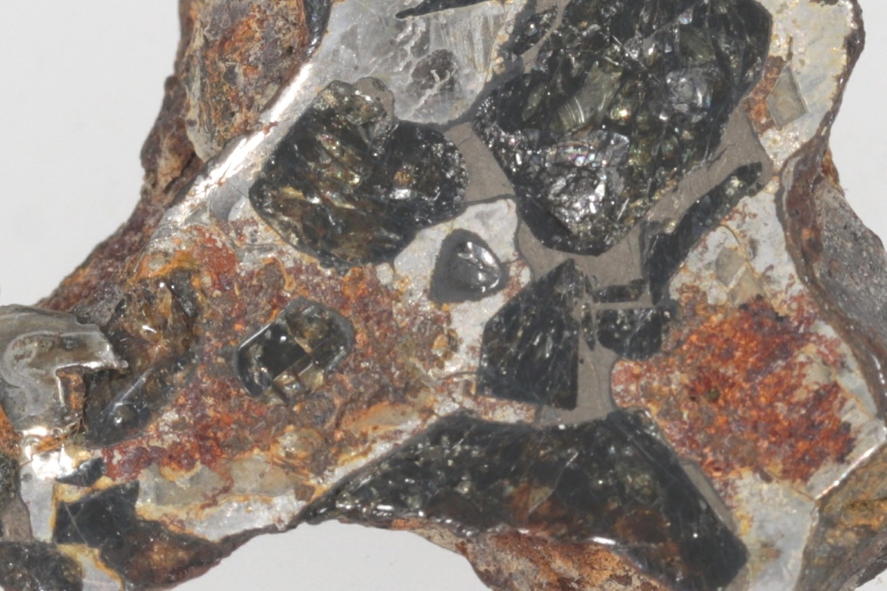 Pallasite - Image 3