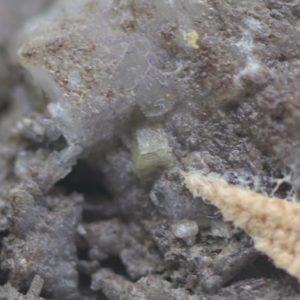 Fluorcaphite