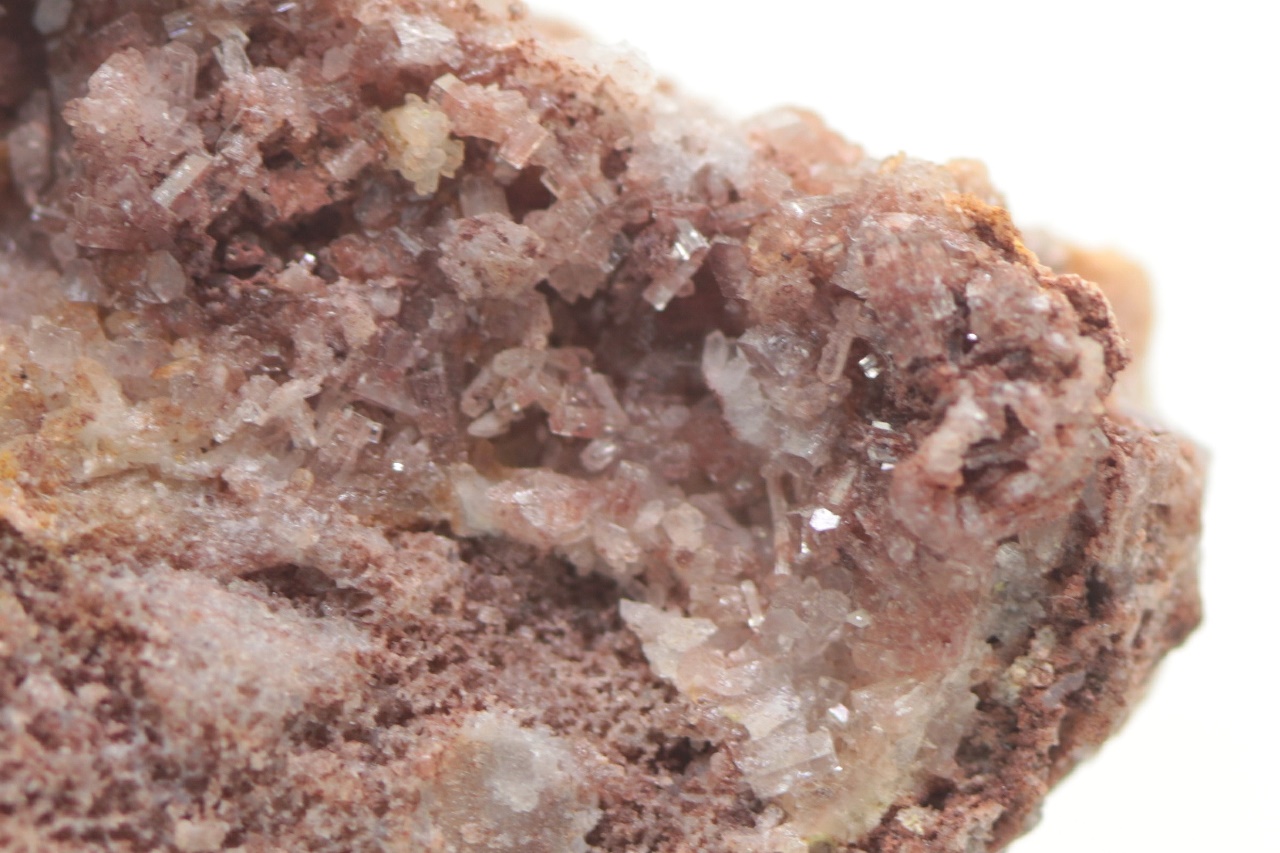 Caracolite - Image 8