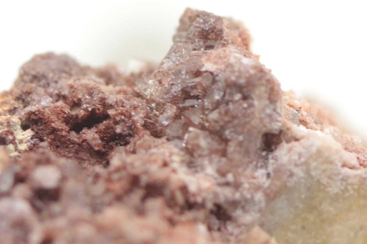 Caracolite - Image 9