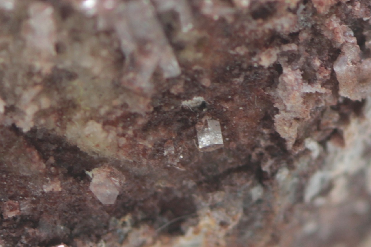Caracolite - Image 10