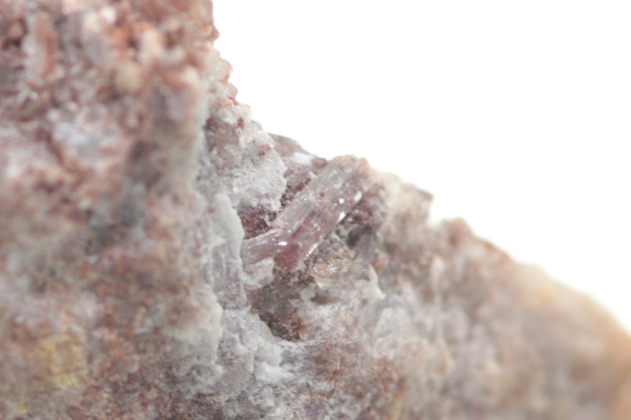 Caracolite - Image 11