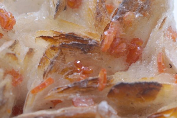 Baryte, vanadinite - Image 7