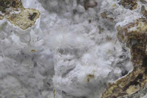Picropharmacolite - Image 3