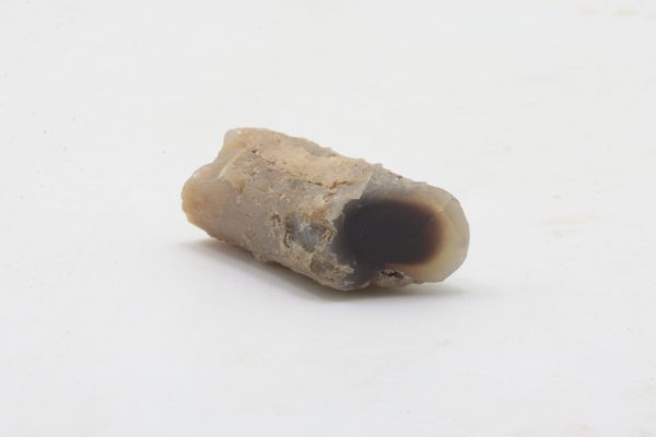 Opal