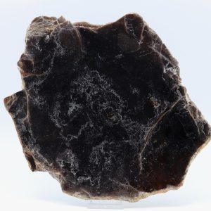 Phlogopite