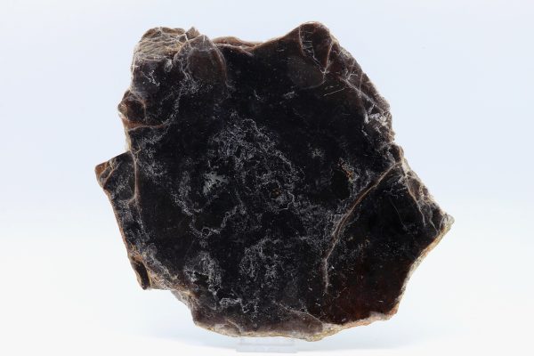 Phlogopite