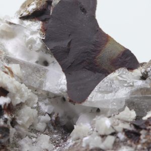Whewellite