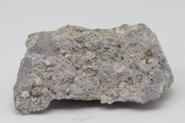 Tridymite