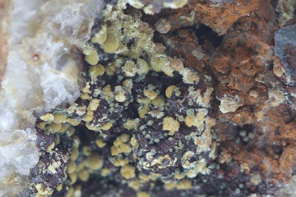 Meurigite - Image 8