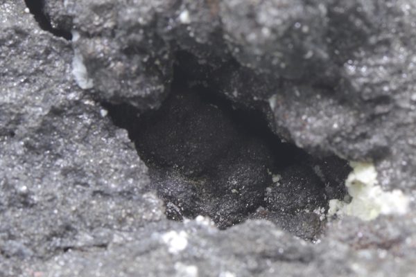 Arsenic - Image 9