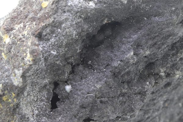 Arsenic - Image 11