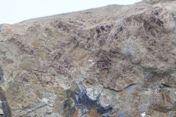 Triplite, muscovite - Image 7