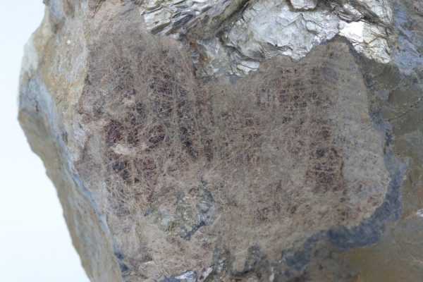 Triplite, muscovite - Image 11