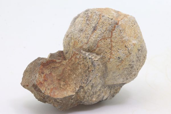 Pseudoleucite - Image 2