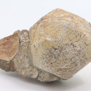 Pseudoleucite