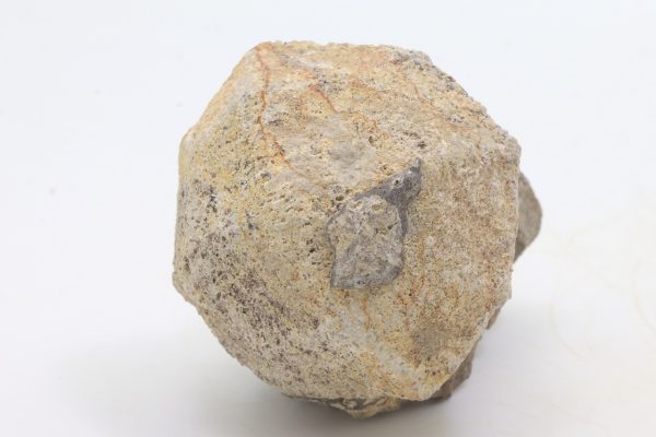 Pseudoleucite - Image 4