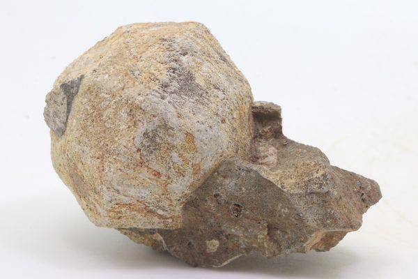 Pseudoleucite - Image 5