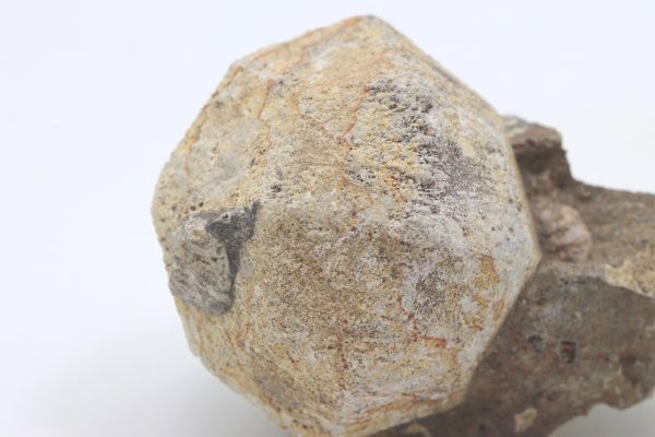 Pseudoleucite - Image 6