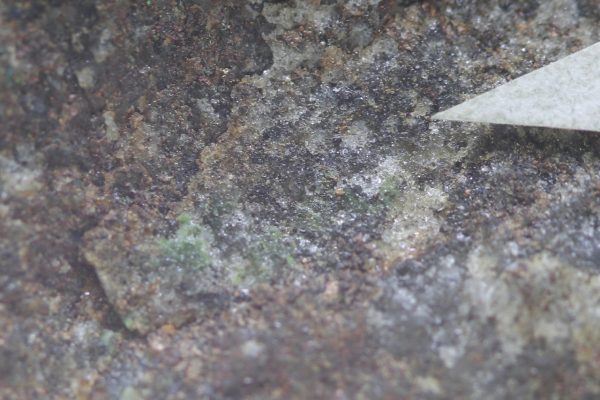Goldmanite