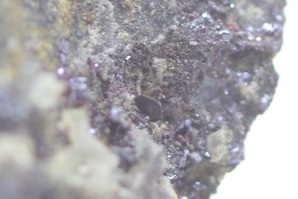 Sternbergite - Image 8