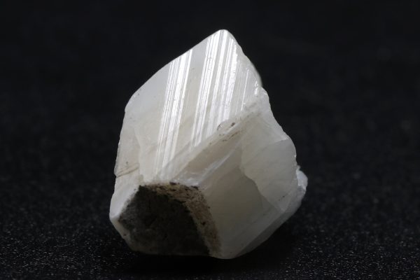 Whewellite
