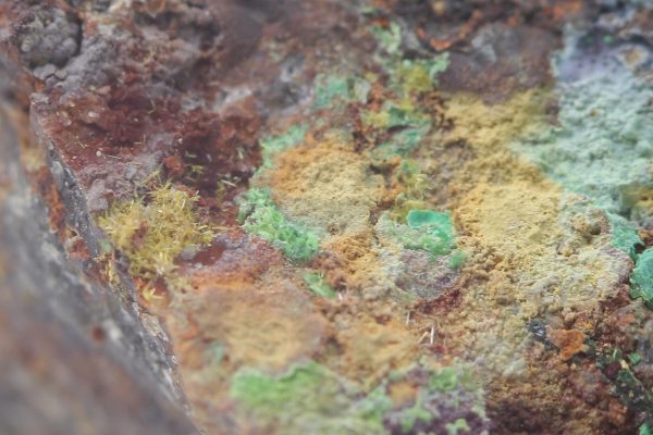 Parsonsite - Image 4