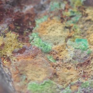 Parsonsite
