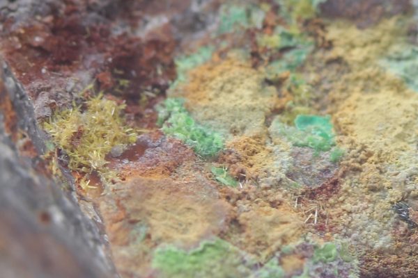 Parsonsite
