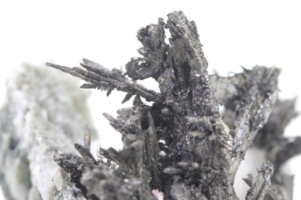 Silver - Image 13