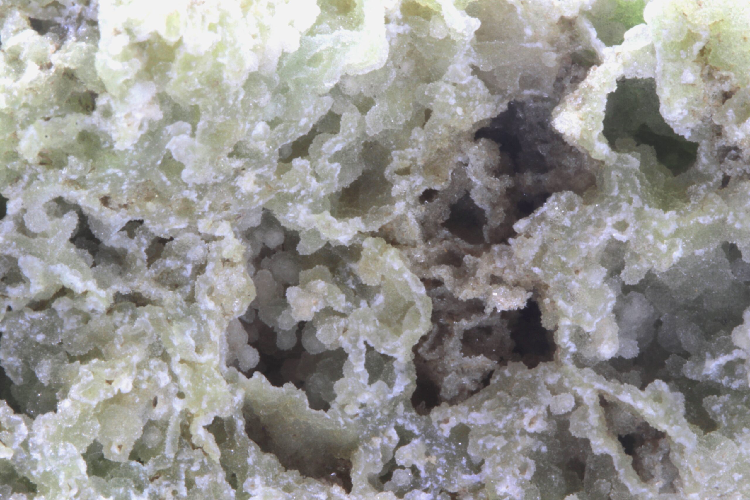 Chrysoprase - Image 5