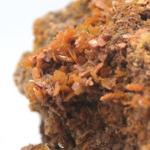 Wulfenite