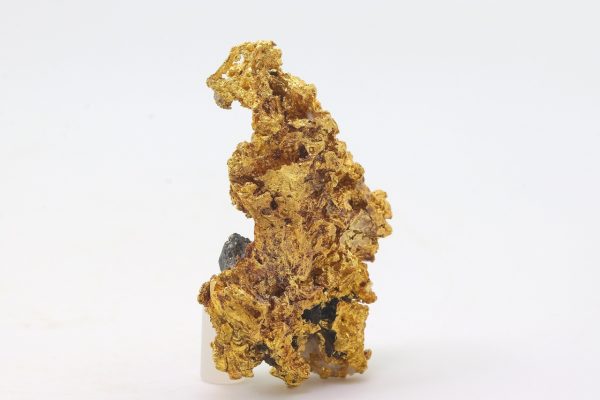 Gold - Image 2