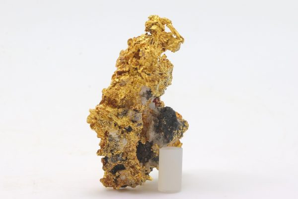 Gold - Image 5
