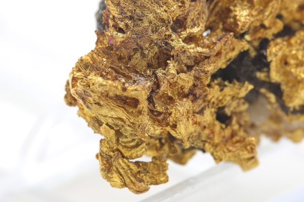 Gold - Image 13
